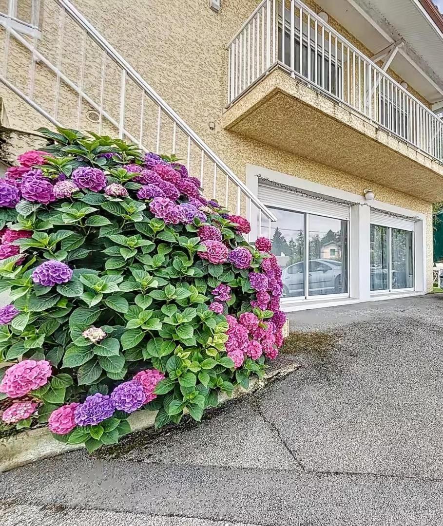 Apartamento L'Echappee Viennoise Vienne  Exterior foto